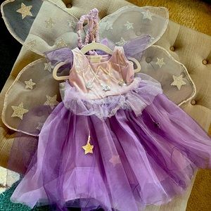 Princess fairy costume from Pottery barn
